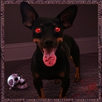 [BRBR] Jack Kepler Logo