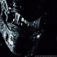 Xenomorph88 Logo