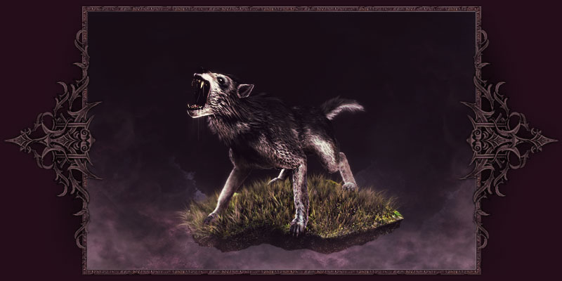 Lobo de Caça Lobo de Caça
