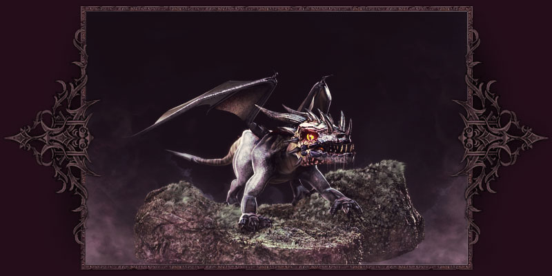 Young black dragon
