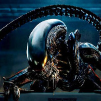 Xenomorph88 Logo
